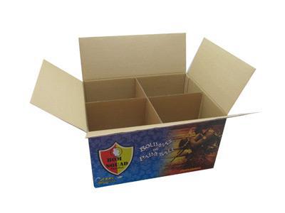 Corrugated Paper Carton